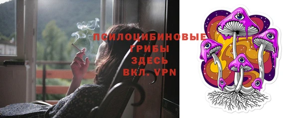 стаф Балахна