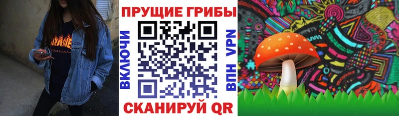дарнет шоп Балахна Галлюциногенные грибы Magic Shrooms